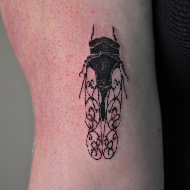 phoenix tattoo